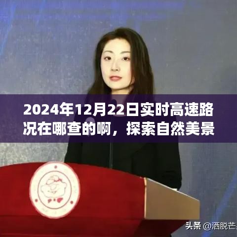 探索自然美景之旅，實(shí)時高速路況查詢指南與尋找內(nèi)心平靜的旅程