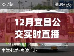 掌握出行信息必備，宜昌公交實(shí)時(shí)直播電話在線直播服務(wù)啟動(dòng)