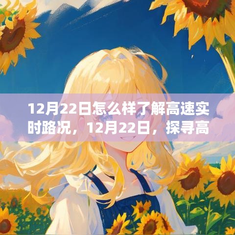 12月22日，探尋高速實時路況的洞察之旅，掌握實時路況信息！