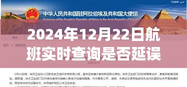 冬日暖陽(yáng)下的飛行奇遇，航班延誤時(shí)光與好友共度