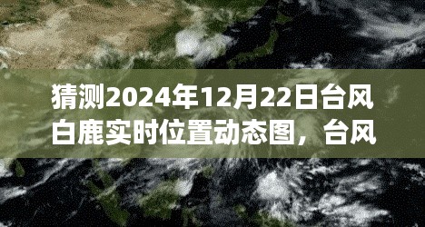 臺風(fēng)白鹿來襲，冒險之旅中的自信閃耀與實(shí)時動態(tài)圖預(yù)測學(xué)習(xí)筆記