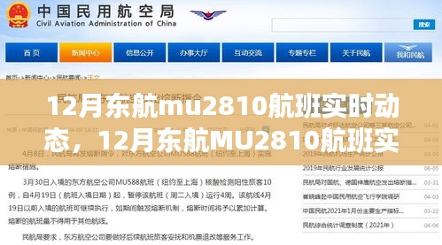 探索航班之旅，揭秘東航MU2810航班實(shí)時(shí)動(dòng)態(tài)，航班細(xì)節(jié)一網(wǎng)打盡