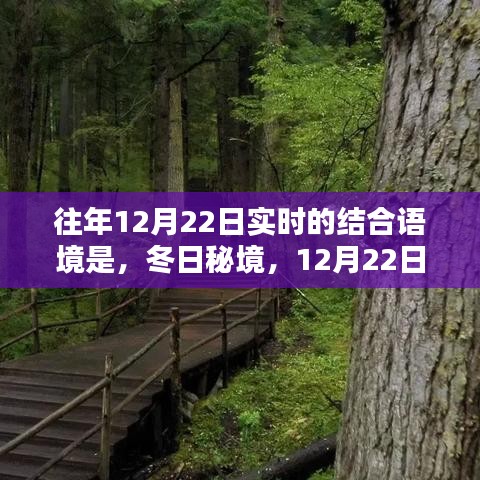 冬日秘境，與自然共舞的日子，12月22日的魔法時(shí)刻