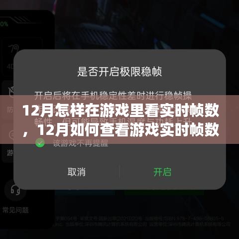 詳細步驟指南，如何查看游戲?qū)崟r幀數(shù)（適用于十二月）