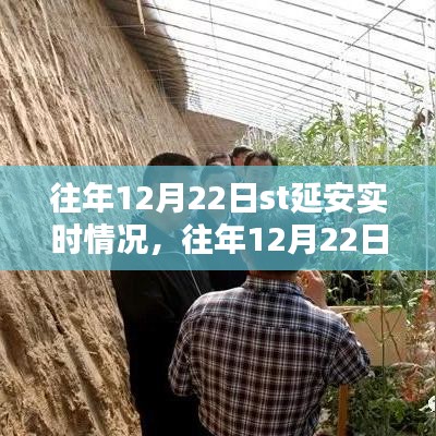 往年12月22日ST延安實時情況詳解，掌握攻略，輕松完成任務！