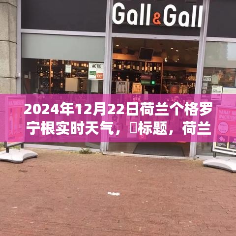 荷蘭格羅寧根實(shí)時(shí)天氣探索，追尋自然美景與心靈寧?kù)o的奇妙之旅（2024年12月22日）