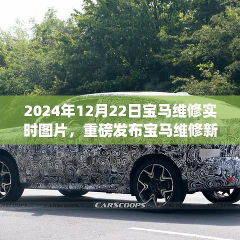 重磅發(fā)布，寶馬維修新紀元實時圖片體驗，領略高科技維修的魅力（附時間戳）