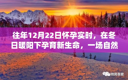 冬日暖陽下的孕育之旅，自然美景探索與孕育新生命紀(jì)實