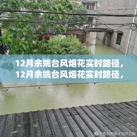 深度解析與前沿觀察，12月余姚臺(tái)風(fēng)煙花實(shí)時(shí)路徑追蹤
