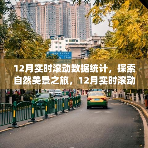 探索自然美景之旅，揭秘12月實時滾動數(shù)據(jù)統(tǒng)計背后的寧靜呼喚