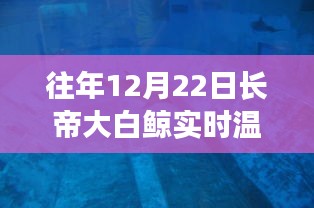 長帝大白鯨智能溫度計，實時溫度觸手可及，科技帶來生活溫暖