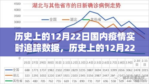 歷史上的12月22日國(guó)內(nèi)疫情實(shí)時(shí)追蹤數(shù)據(jù)詳解，步驟指南與實(shí)時(shí)追蹤報(bào)告