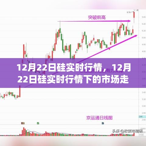 12月22日硅市場實時行情解析，市場走勢、個人觀點與洞察