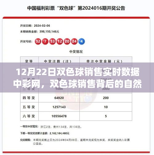 探索雙色球銷售背后的自然之旅，內(nèi)心平靜的奇妙旅程揭秘（實(shí)時(shí)數(shù)據(jù)解析）