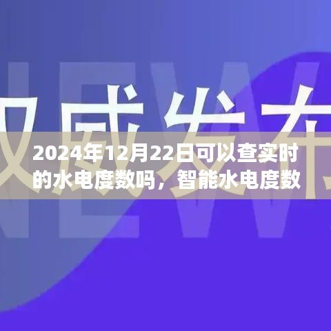 智能水電度數(shù)實(shí)時監(jiān)測體驗(yàn)報告，2024年12月22日實(shí)時水電度數(shù)查詢體驗(yàn)