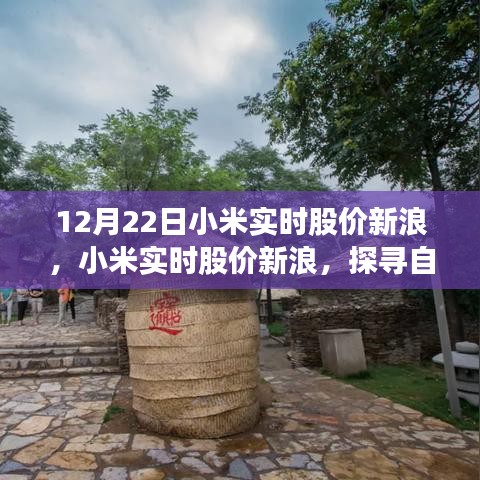 小米實(shí)時(shí)股價(jià)新浪與探尋自然美景之旅，心靈寧?kù)o的力量