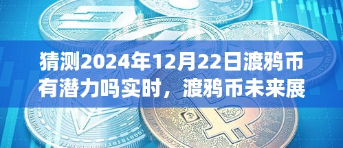 渡鴉幣未來展望，擁抱潛力，探索數(shù)字世界新紀(jì)元——至2024年12月22日的深度解析