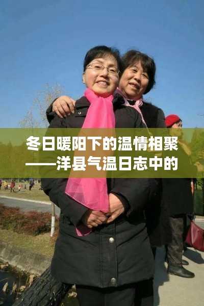 冬日暖陽下的溫情相聚——洋縣氣溫日志中的歡樂聚會時光