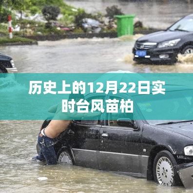 實(shí)時(shí)臺(tái)風(fēng)苗柏歷史記錄，12月22日情況概述