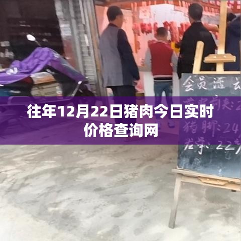 最新豬肉實時價格查詢網，今日更新