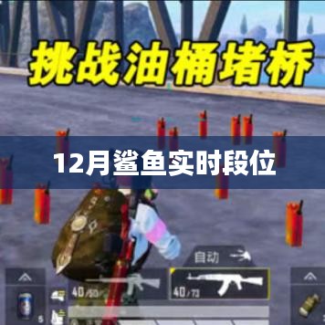 鯊魚(yú)實(shí)時(shí)段位更新，揭秘12月排行榜，符合字?jǐn)?shù)要求，簡(jiǎn)潔明了，能夠準(zhǔn)確概括您提供的內(nèi)容，有利于在百度上被用戶(hù)搜索到。