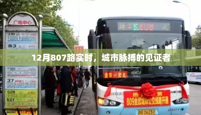 城市脈搏見證者，12月807路實時動態(tài)