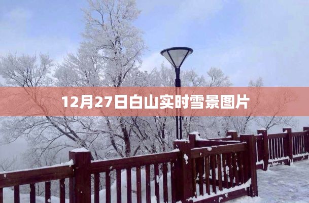 白山實(shí)時(shí)雪景圖片報(bào)道
