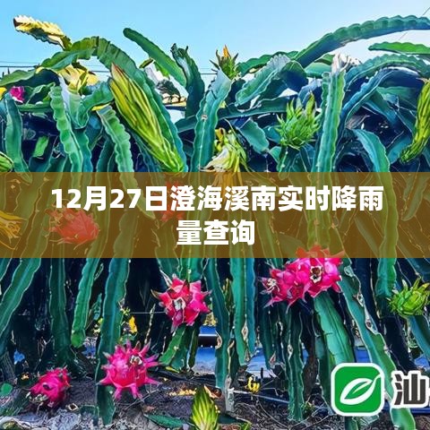 澄海溪南實時降雨量查詢（最新更新）