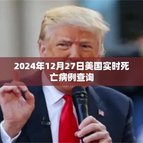 美國實時死亡病例查詢（截至2024年12月27日）