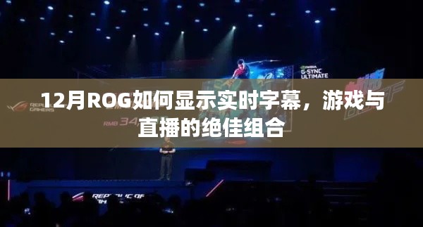 ROG實時字幕顯示，游戲與直播的絕佳搭檔，12月操作指南
