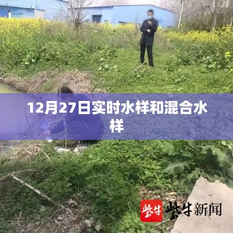 12月27日實(shí)時(shí)與混合水樣檢測(cè)分析
