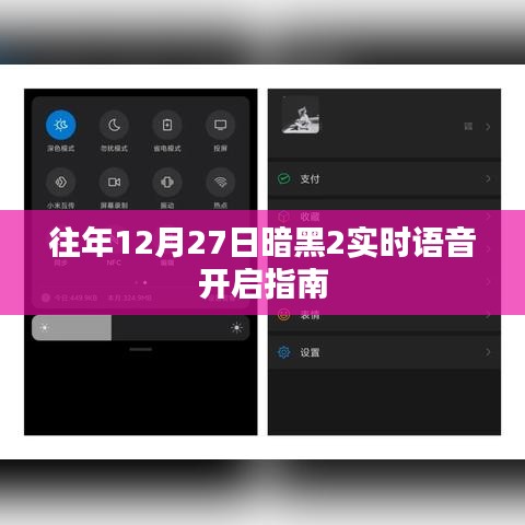 暗黑2實(shí)時(shí)語音開啟指南，往年12月27日操作指南