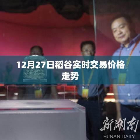 稻谷實(shí)時(shí)交易價(jià)格走勢(shì)分析（最新動(dòng)態(tài)）