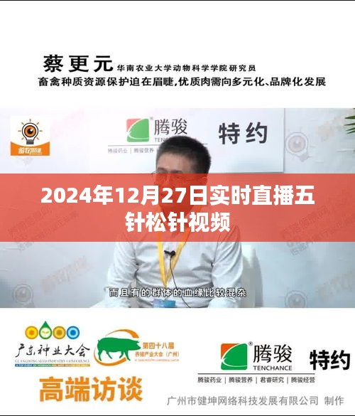 五針?biāo)舍樦辈ヒ曨l，實(shí)時(shí)觀賞與解析