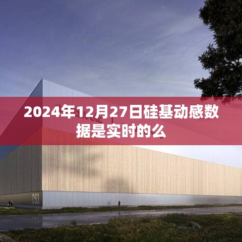 硅基動(dòng)感數(shù)據(jù)實(shí)時(shí)性探討，2024年12月27日數(shù)據(jù)準(zhǔn)確性分析