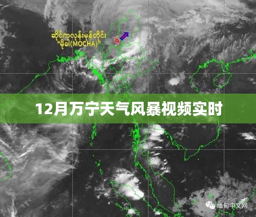 萬(wàn)寧風(fēng)暴來(lái)襲，最新天氣實(shí)時(shí)視頻