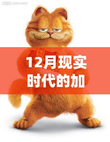 現(xiàn)實版加菲貓圖片集，溫馨可愛瞬間捕捉