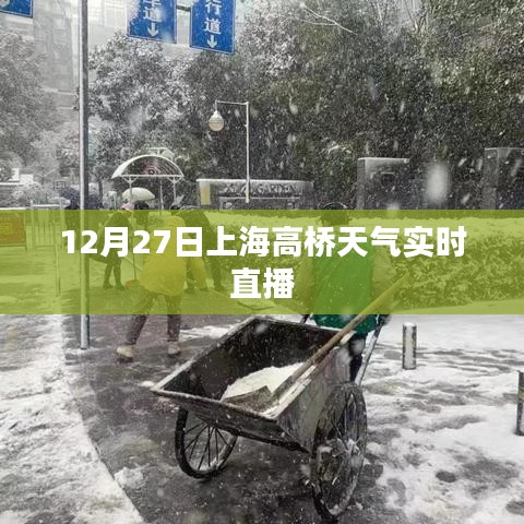 輕徙鳥舉 第3頁