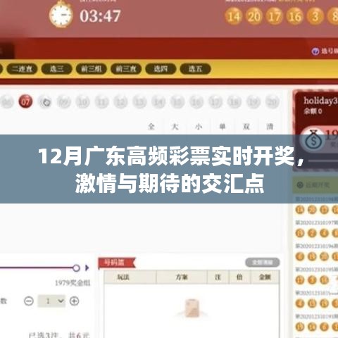 廣東高頻彩票12月實時開獎，激情碰撞期待時刻