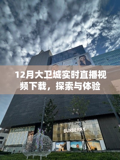 大衛(wèi)城12月實時直播視頻下載，探索與體驗之旅