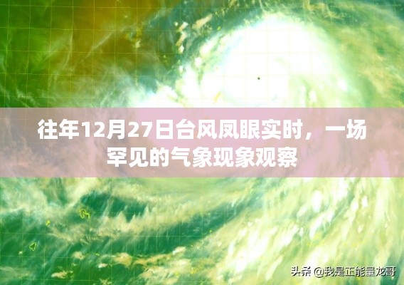 臺風(fēng)鳳眼現(xiàn)象觀察，罕見氣象奇觀揭秘