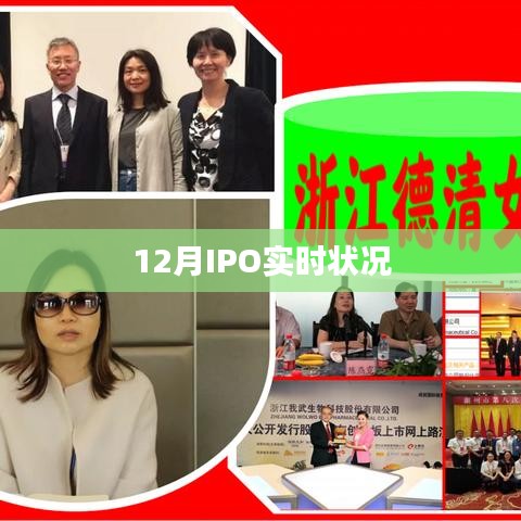 12月IPO最新動態(tài)及實時狀況分析