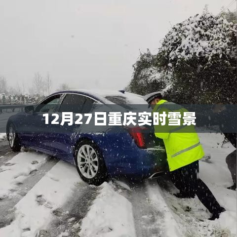 重慶實時雪景實拍
