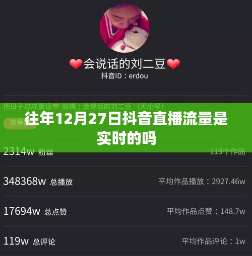 抖音直播流量歷年數(shù)據(jù)解析，直播流量實(shí)時(shí)性探討