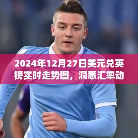 2024年美元兌英鎊匯率走勢圖，洞悉市場趨勢