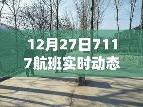 獨家解析，航班號7117在12月27日的實時動態(tài)報告