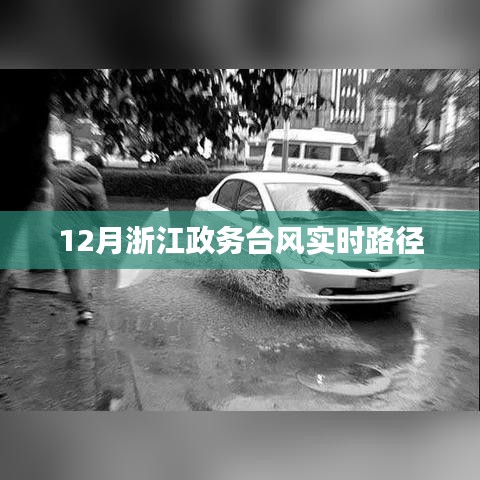 浙江政務(wù)臺風實時路徑播報