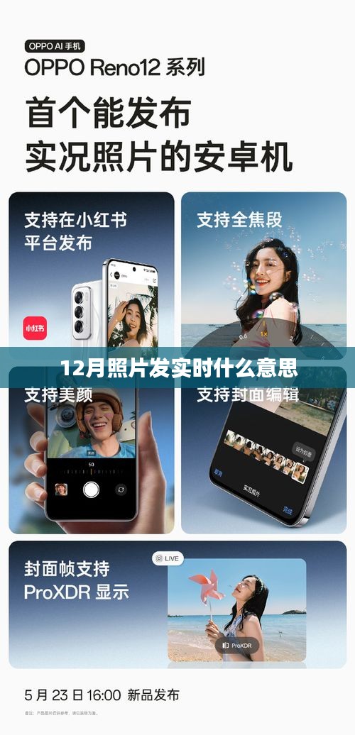 實時分享，揭秘十二月照片發(fā)實時背后的故事。