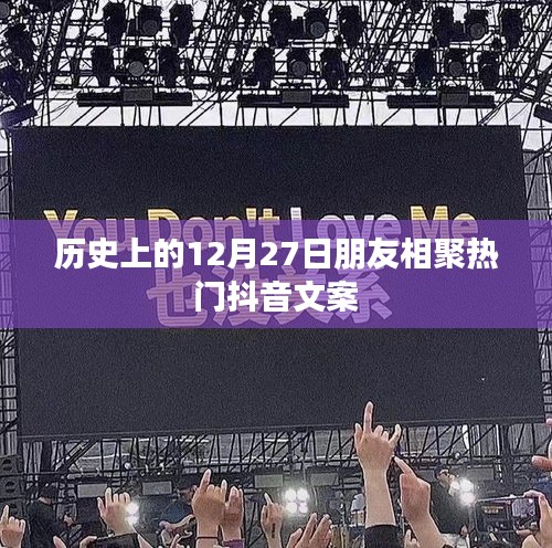 一花獨(dú)放 第3頁