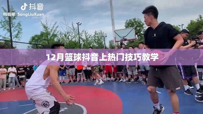 籃球抖音熱門(mén)技巧教學(xué)，12月實(shí)戰(zhàn)攻略